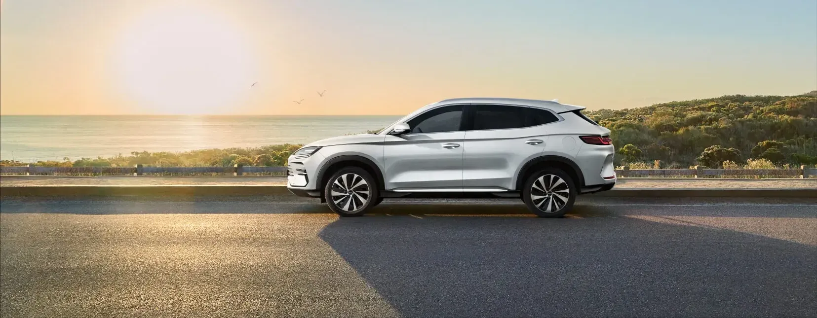 sealion-6-ext-showcase